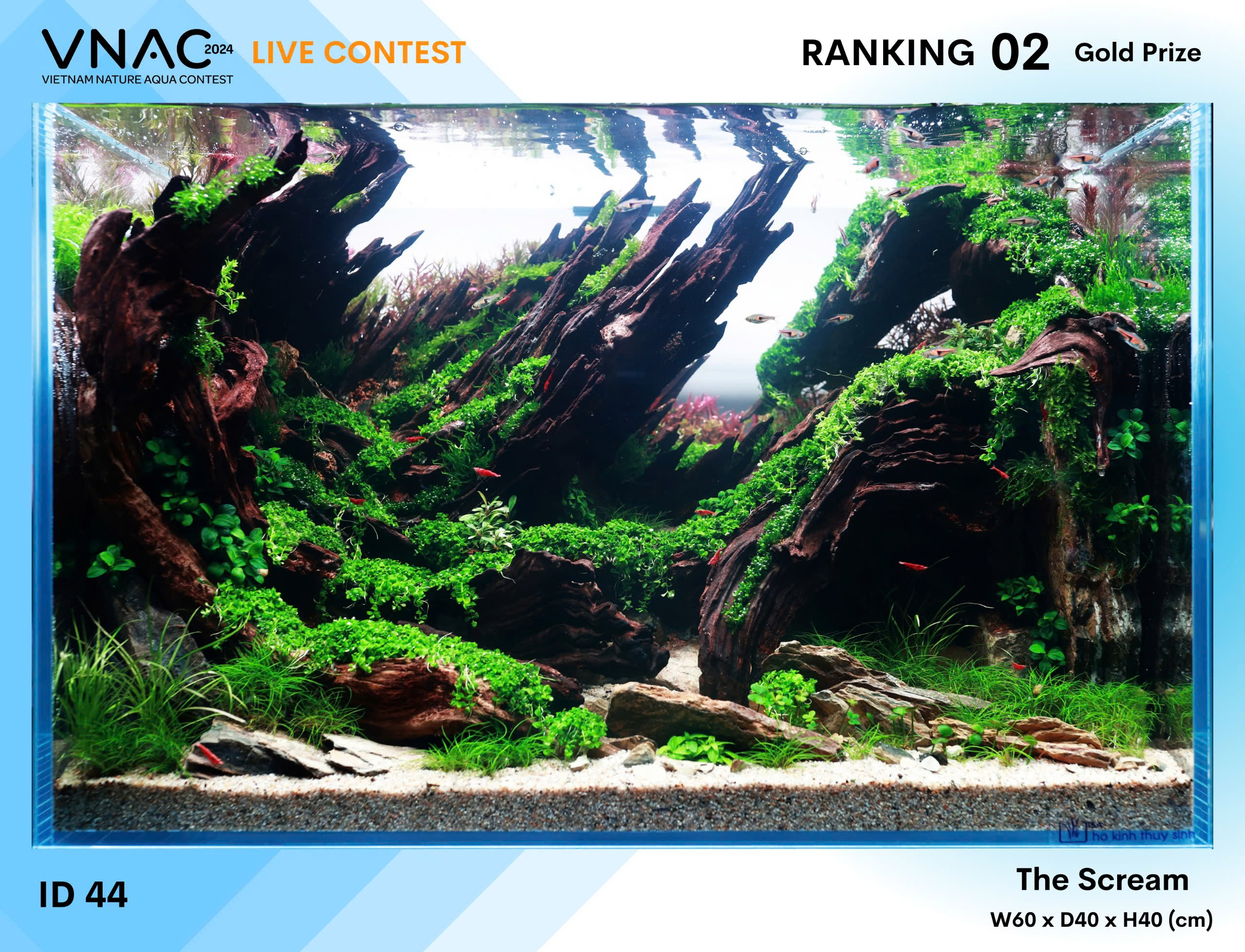 Rank 2 - ID44 - The Scream